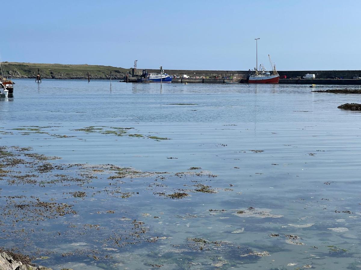 Lovely Apartment Overlooking The Harbour And Bay Ardglass Екстериор снимка