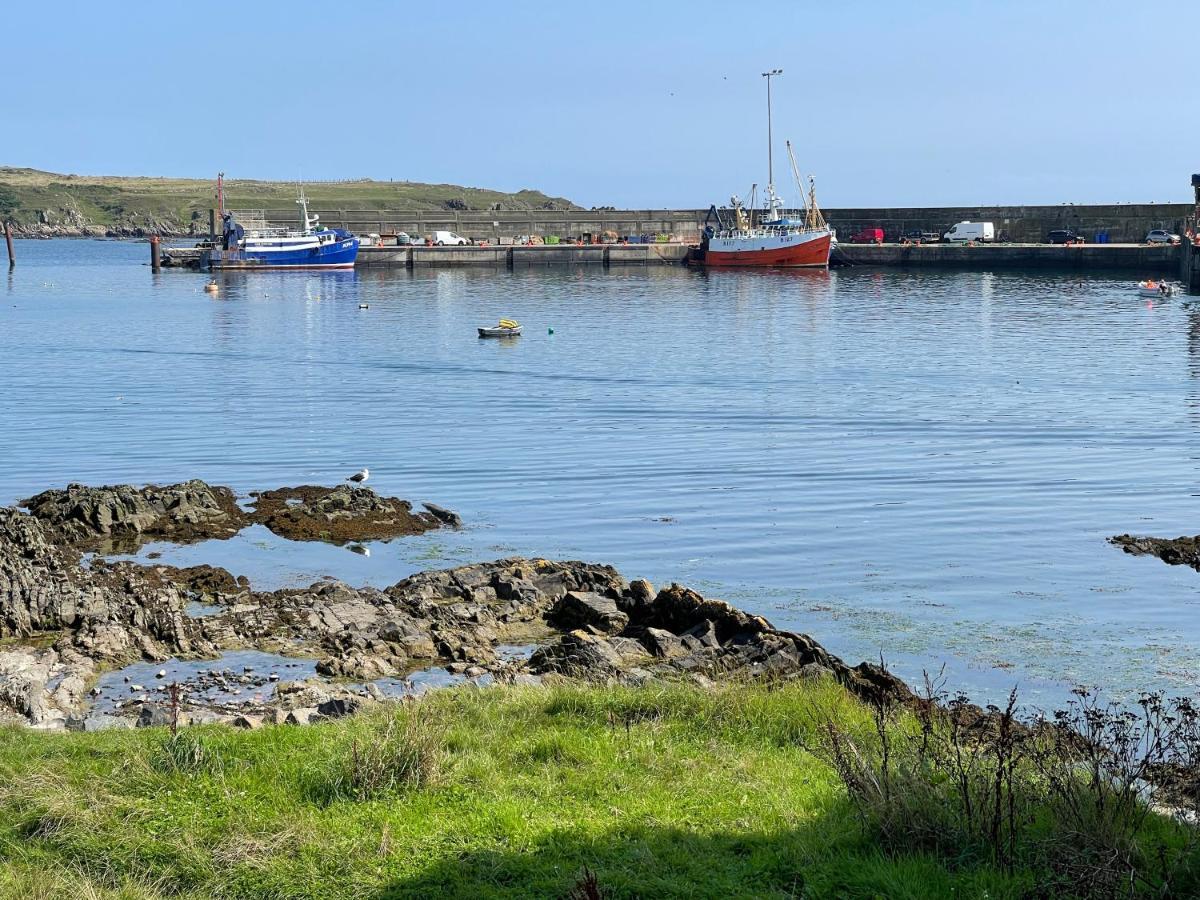 Lovely Apartment Overlooking The Harbour And Bay Ardglass Екстериор снимка