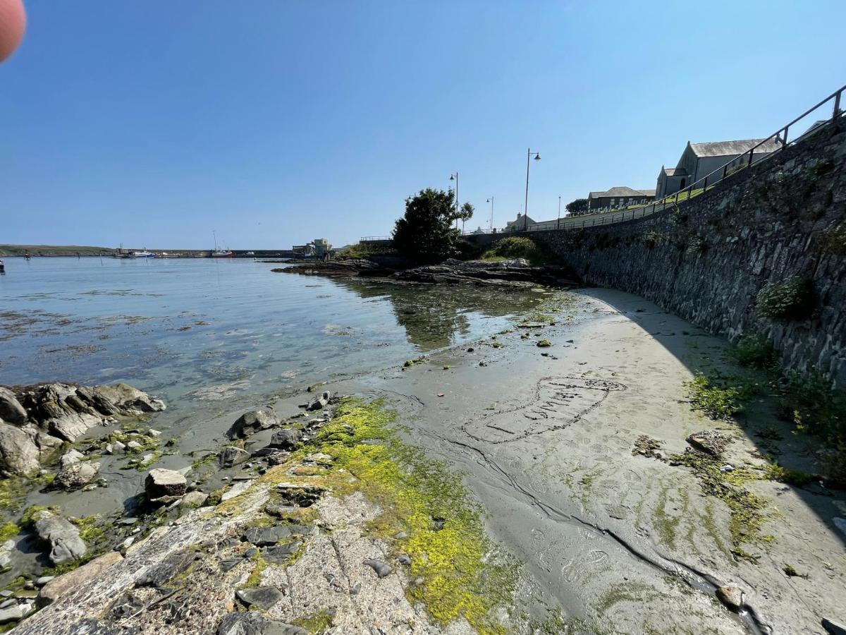 Lovely Apartment Overlooking The Harbour And Bay Ardglass Екстериор снимка